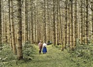 Rok 1899: K čemu potřebujeme les?: Láká vás současné krásné jarní počasí k…