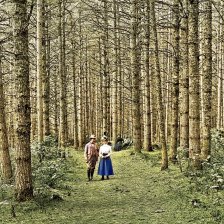 kolorovaná fotografie Procházka lesem.