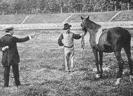 První neprůstřelná vesta z roku 1904: Neprůstřelná balistická vesta dnes patří do…