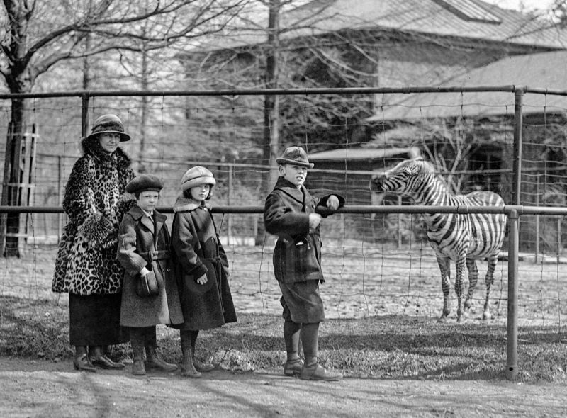 zobrazit detail historického snímku: ZOO.