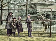 Rok 1905: Další vzácná otrávená zvířata v ZOO: Zoologické zahrady mohou přinášet zábavu i…