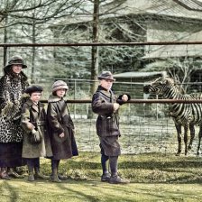 kolorovaná fotografie ZOO.