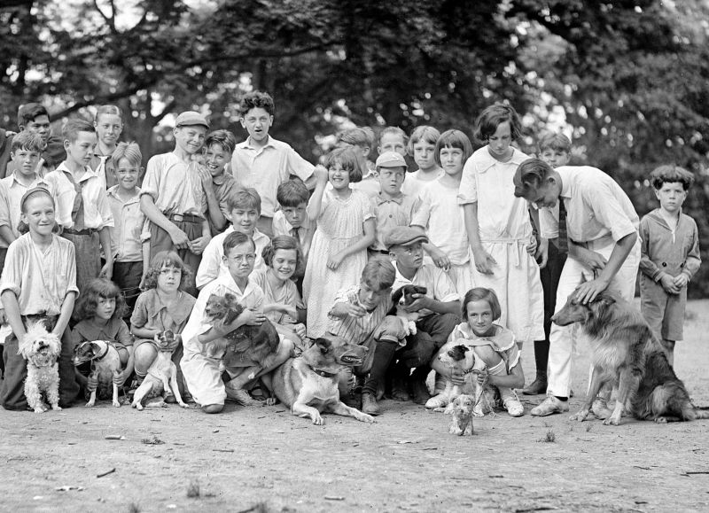 zobrazit detail historického snímku: Děti a psi.