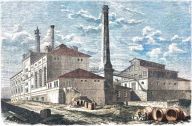 Zajímavá a málo známá historie vaření piva v Čechách: Máte rádi pivo a chtěli byste se dozvědět víc…