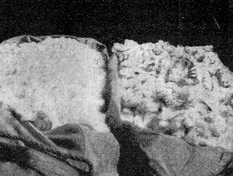 zobrazit detail historického snímku: V pravém pytli bavlna sbíraná ručně, v levém strojně.
