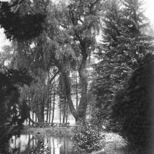 retro fotografie Stromovka na podzim.