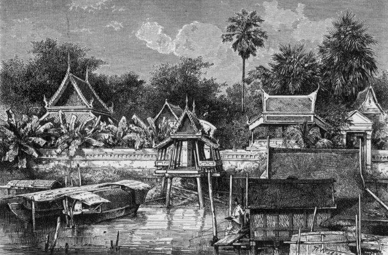 zobrazit detail historického snímku: Siamské obrazy vegetační.