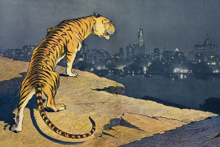 zobrazit detail historického snímku: Tygr.
