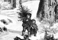 Jak si naši předci zdobili vánoční stromek? Třeba azbestem! : Chcete mít originálně ozdobený vánoční…
