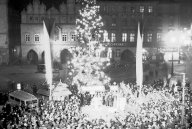Víte, že vánoční stromy republiky jsou původně humanitární sbírka pro děti?: Rozsvícené vánoční stromy na náměstích dnes...