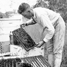 retro fotografie Včelař a jeho včely.