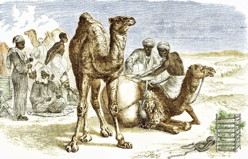 Rok 1908: Problémy se sněhem na Sahaře Rok 1908: Problémy se sněhem na Sahaře: Sníh na saharské poušti se nám může zdát jako něco…