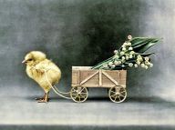 Velikonoční recepty našich prababiček a speciální jídelníček na sváteční dny Velikonoc: Chcete vyzkoušet zajímavá velikonoční jídla z…