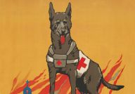 Rok 1914: Pes, jedinečný lidský pomocník za časů války: Pes věrně následuje člověka všude tam, kde je…