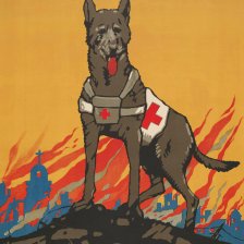 retro fotografie Armádní záchranářský pes.