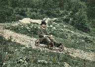 Letní sáňkování na horách aneb adrenalinová zábava našich odvážných pradědečků: Když si dnes chcete v létě na horách užít…