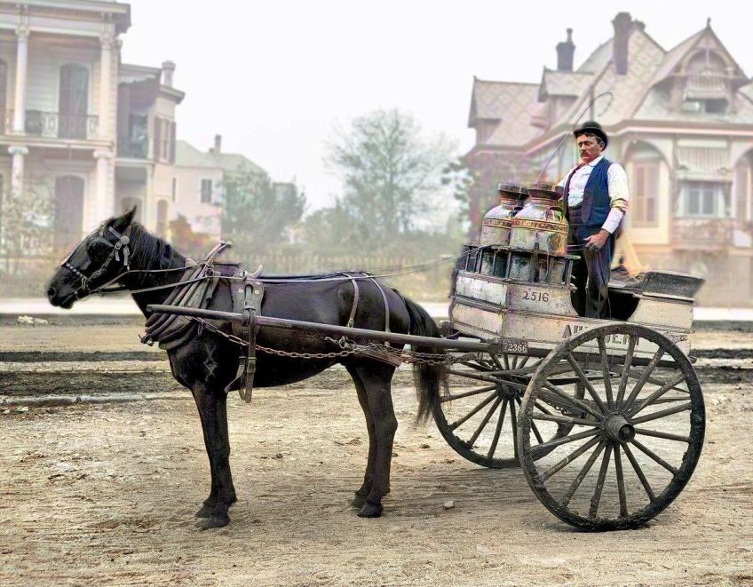 Rok 1913: Sušené mléko - americký vynález, který dobyl svět Rok 1913: Sušené mléko - americký vynález, který dobyl svět: Sušené mléko je dnes běžný výrobek, který můžeme…
