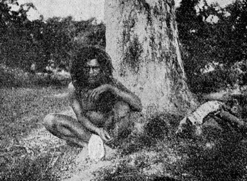 zobrazit detail historického snímku: Praobyvatelé Ceylonu Weddové,