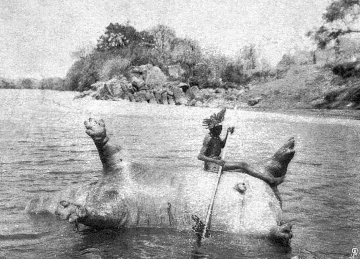 zobrazit detail historického snímku: Podivné plavidlo - zabitý hroch.