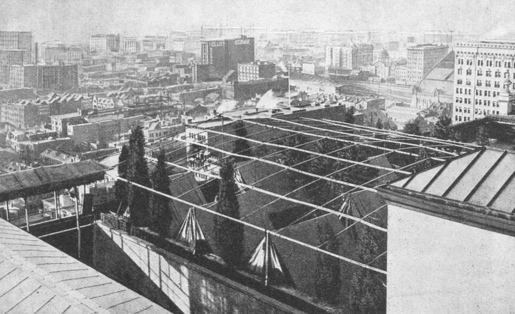 zobrazit detail historického snímku: Americké zahrady na střechách.