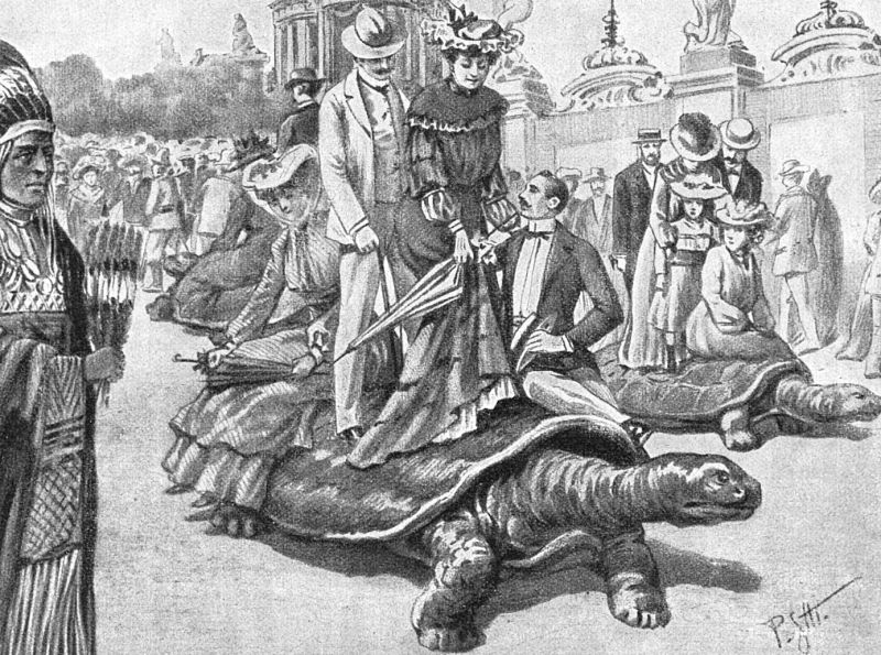 zobrazit detail historického snímku: Želví závody na výstavě St.-Louisské.
