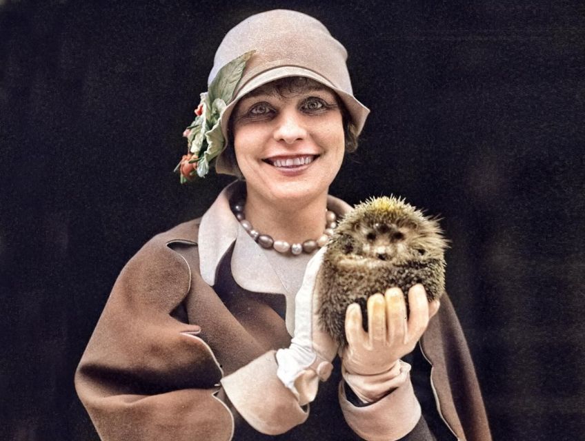 Známý i neznámý ježek: nebojácný bojovník i přítulný domácí mazlíček Známý i neznámý ježek: nebojácný bojovník i přítulný domácí mazlíček: Dupající ježeček s jablky na bodlinách je nedílnou…