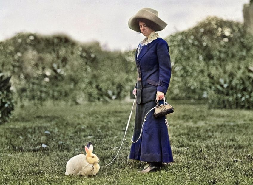 Rok 1892: Jedinečná evoluce králíků v Austrálii Rok 1892: Jedinečná evoluce králíků v Austrálii: Život má jedinečnou schopnost přizpůsobit se novým…