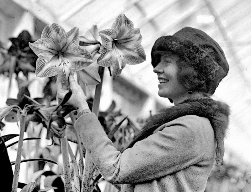 zobrazit detail historického snímku: Žena s květinou.