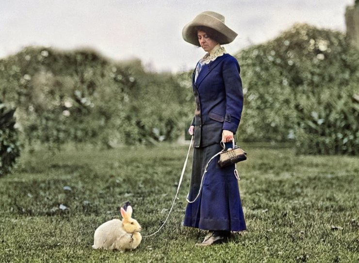 zobrazit detail historického snímku: Dáma s králíkem.