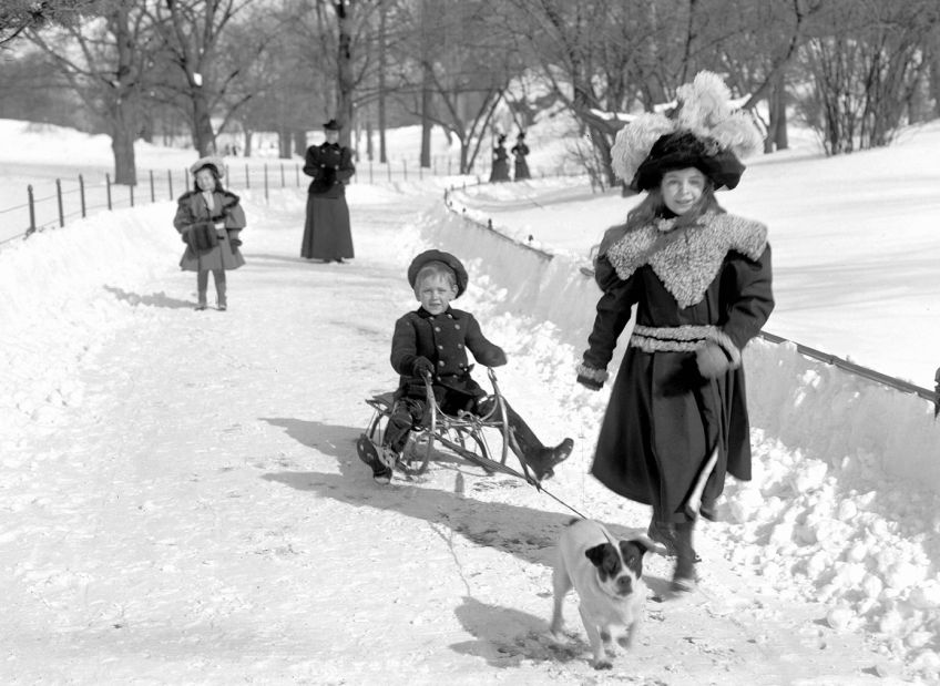 Jaké dobroty dávaly naše prababičky v zimě ptákům do krmítek? Jaké dobroty dávaly naše prababičky v zimě ptákům do krmítek?: Krmíte v zimě ptáčky? Zkuste jim přichystat zimní…