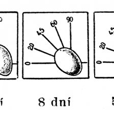 Stupnice stáří vajec.